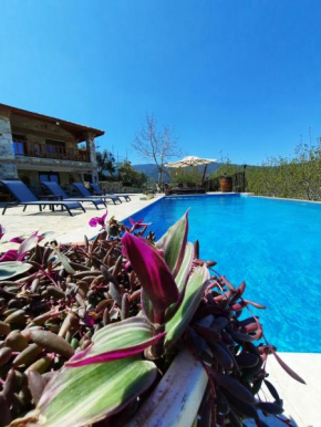 Villa iksir